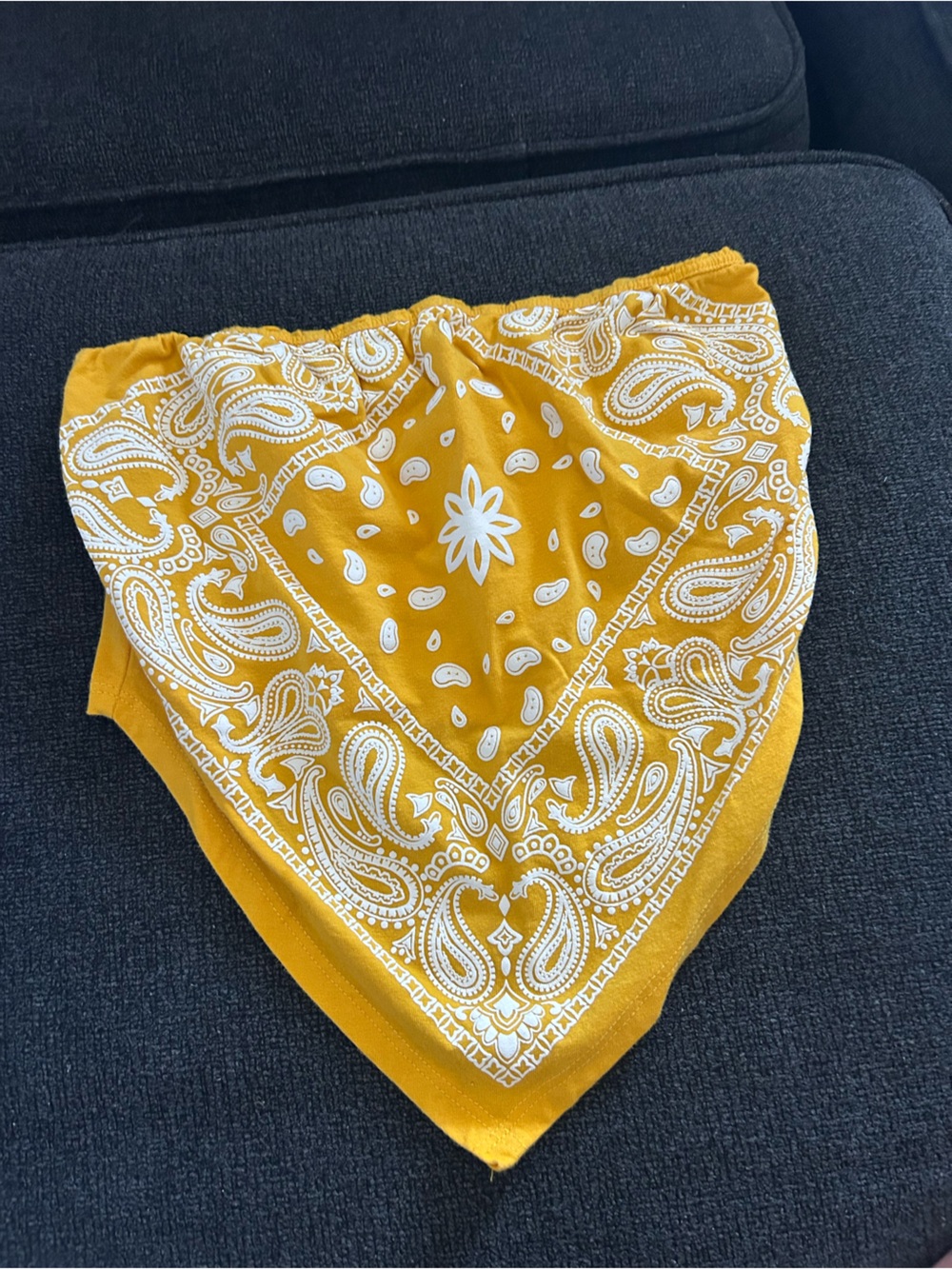 Yellow Paisley Bandana Crop Top